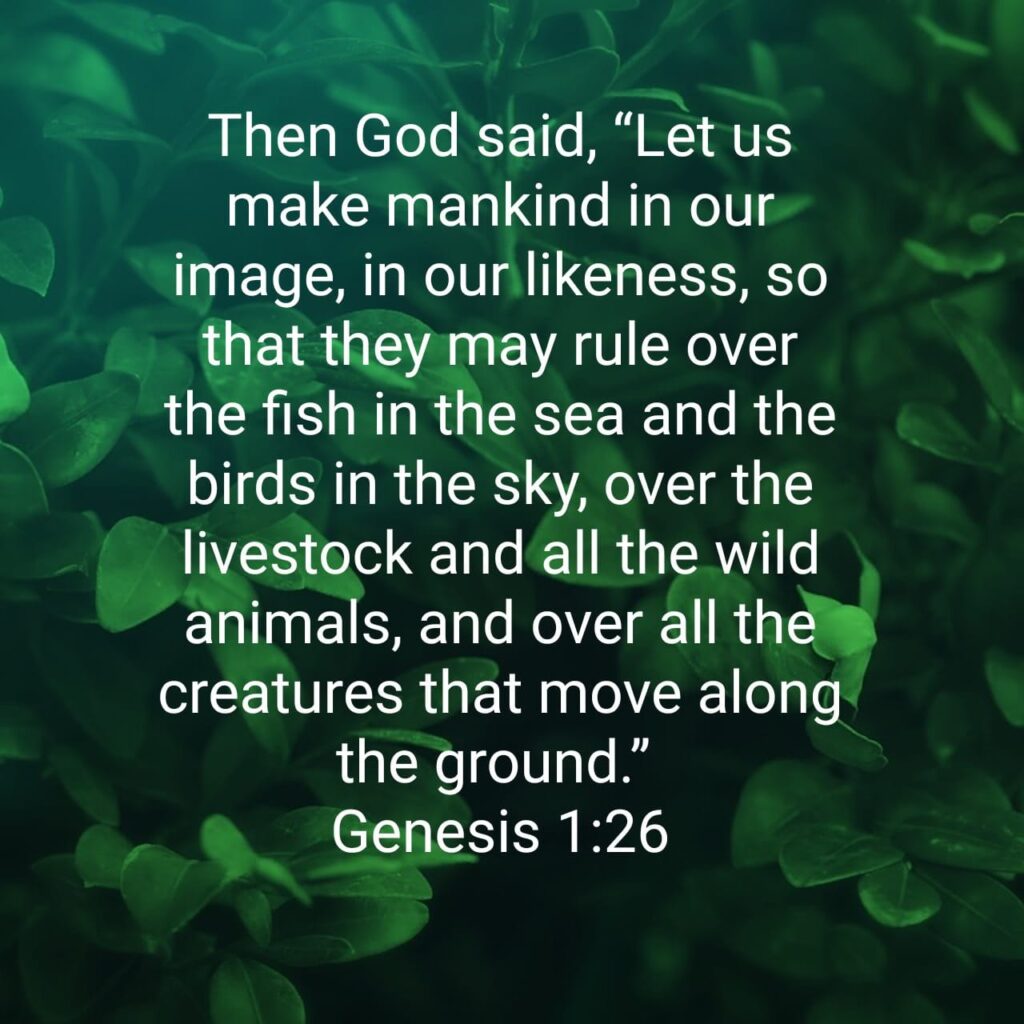 Let us make mankind in our image